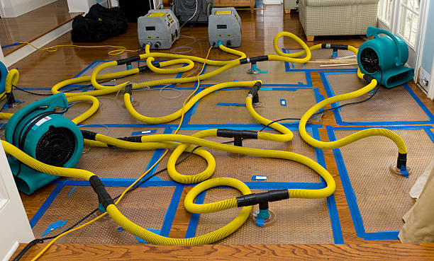 Professional Crawl Space Water Removal technician working in Worley, ID